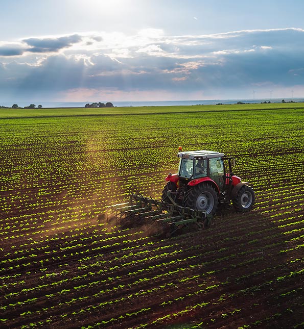 Tractor in a field planting crops.
